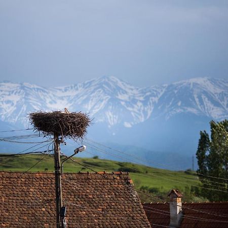 Casa Mosului - Transfagarasan Bed & Breakfast Cîrţişoara Bagian luar foto