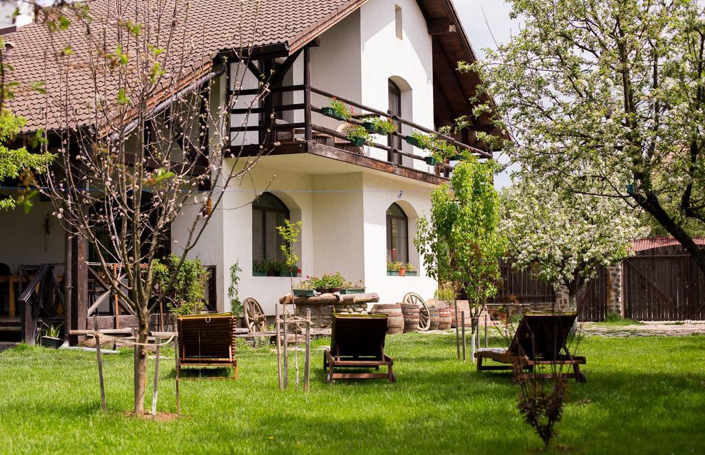 Casa Mosului - Transfagarasan Bed & Breakfast Cîrţişoara Bagian luar foto