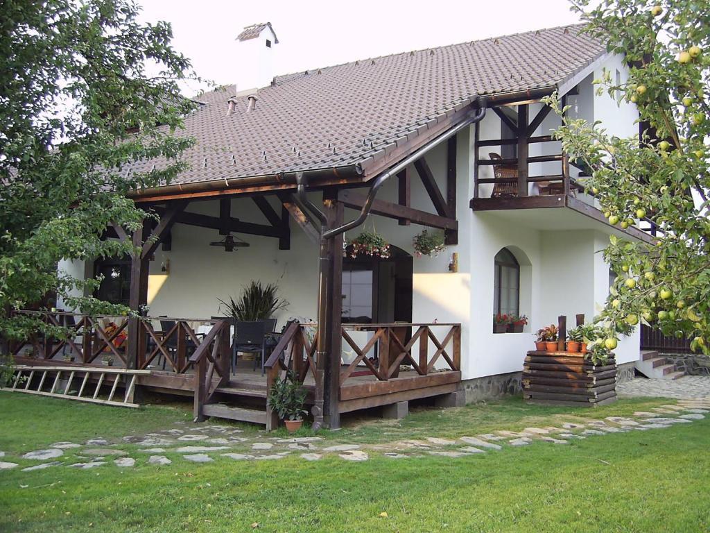 Casa Mosului - Transfagarasan Bed & Breakfast Cîrţişoara Bagian luar foto