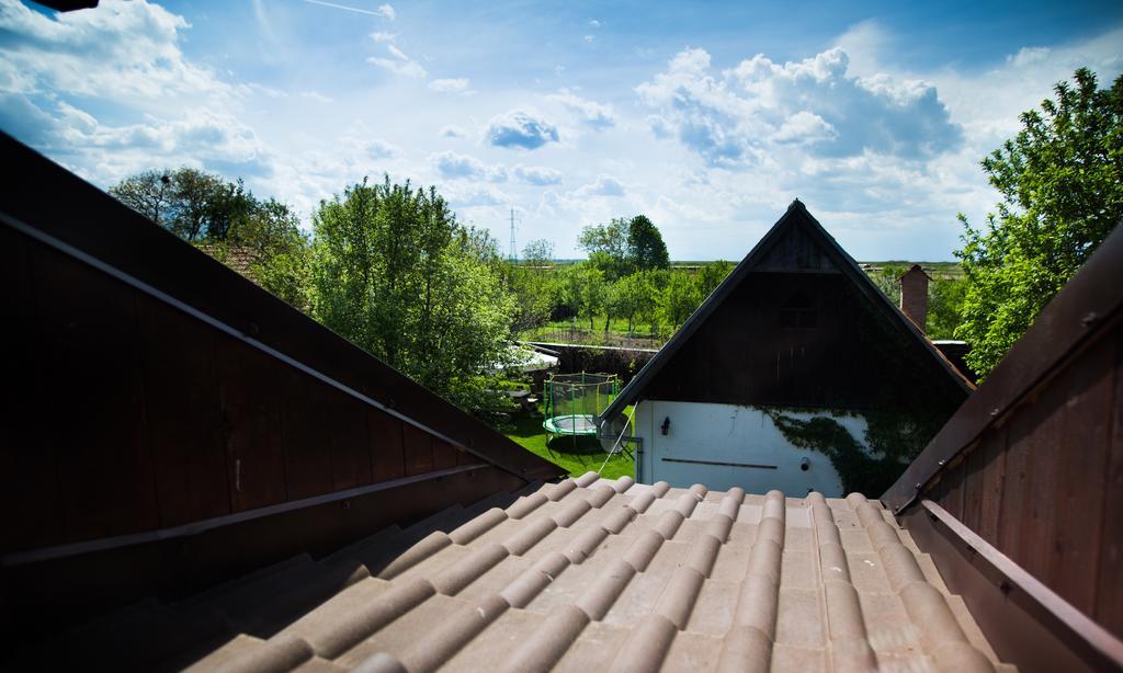 Casa Mosului - Transfagarasan Bed & Breakfast Cîrţişoara Bagian luar foto