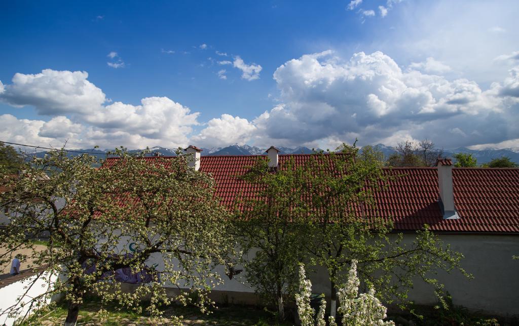 Casa Mosului - Transfagarasan Bed & Breakfast Cîrţişoara Bagian luar foto