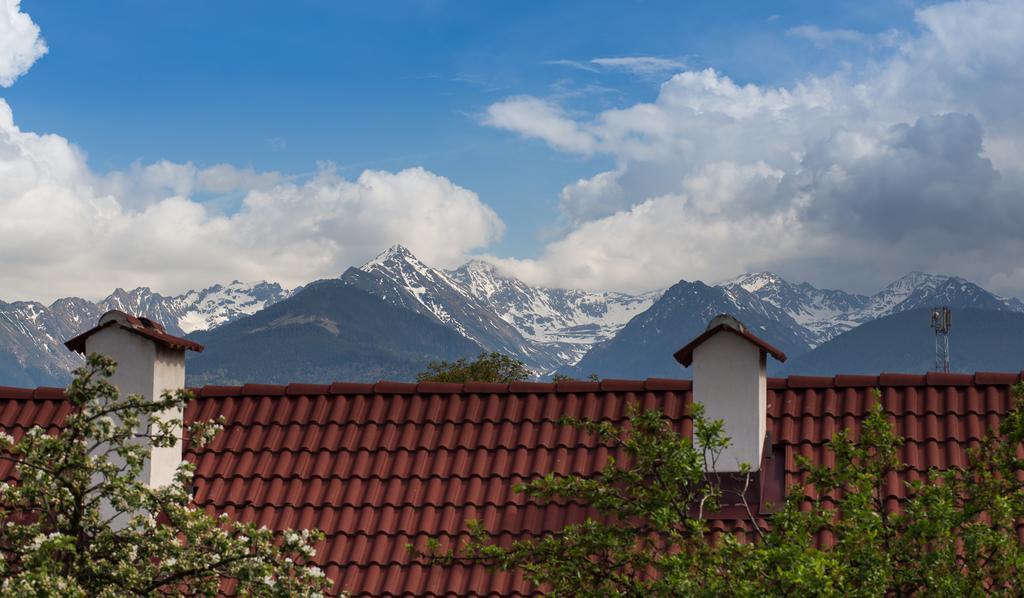 Casa Mosului - Transfagarasan Bed & Breakfast Cîrţişoara Bagian luar foto