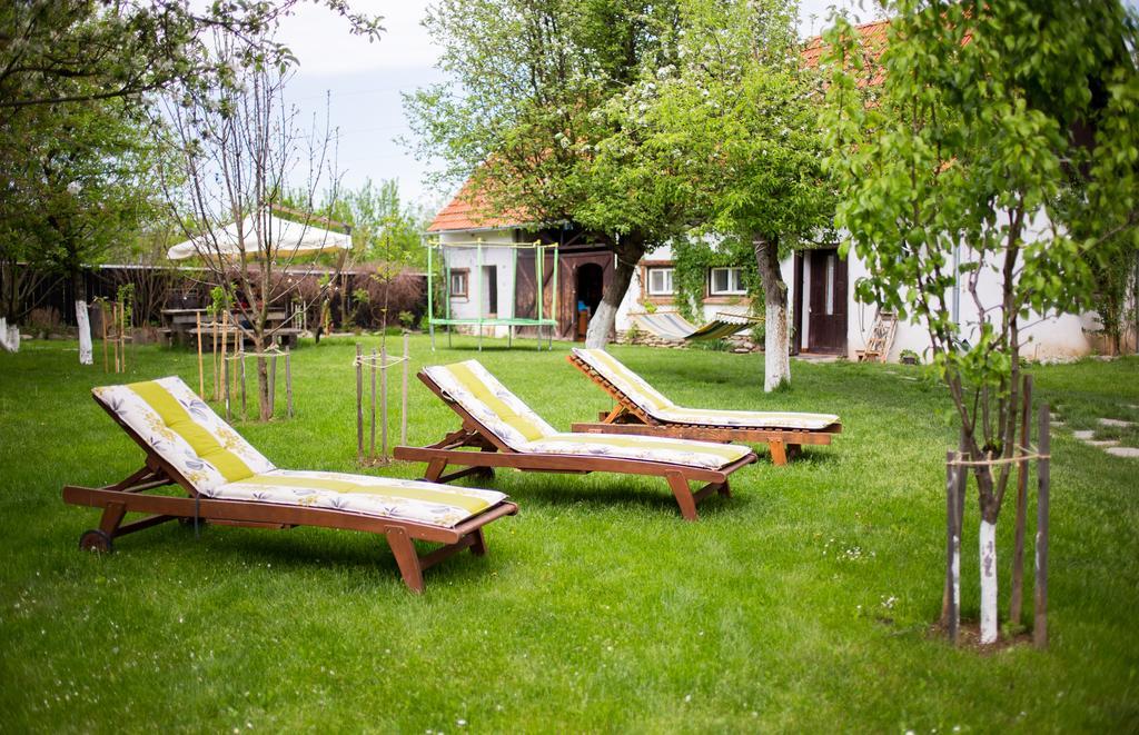 Casa Mosului - Transfagarasan Bed & Breakfast Cîrţişoara Bagian luar foto