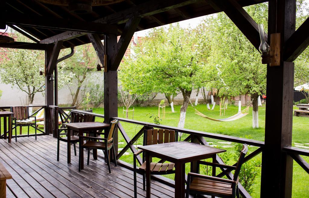 Casa Mosului - Transfagarasan Bed & Breakfast Cîrţişoara Bagian luar foto