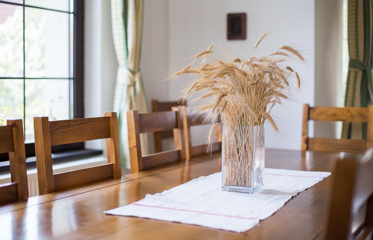 Casa Mosului - Transfagarasan Bed & Breakfast Cîrţişoara Bagian luar foto
