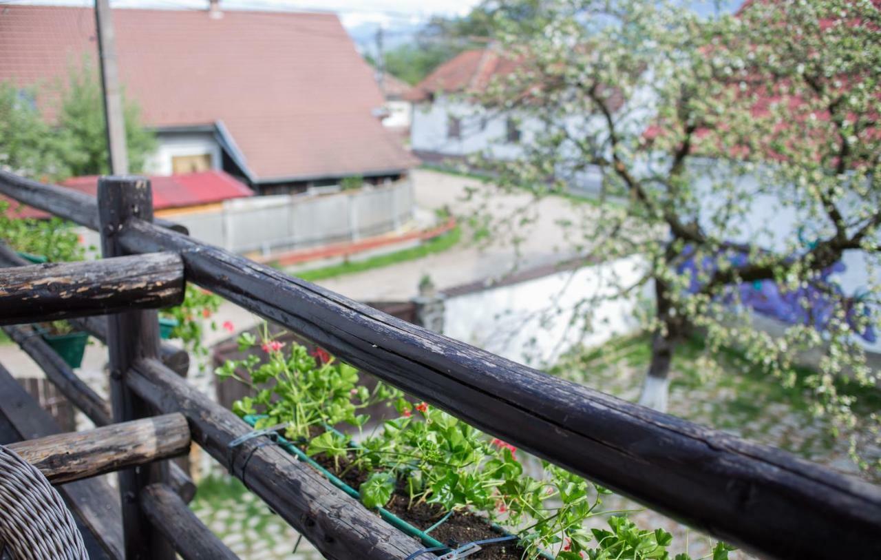 Casa Mosului - Transfagarasan Bed & Breakfast Cîrţişoara Bagian luar foto