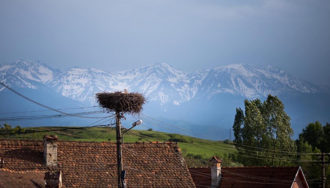 Casa Mosului - Transfagarasan Bed & Breakfast Cîrţişoara Bagian luar foto